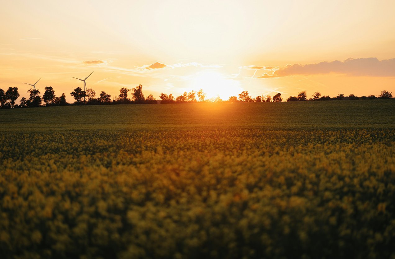 elisa-photography-aeN9L6OBEAs-unsplash-NQ